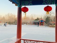 -莲花池公园