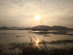 -元素自助餐厅·生蚝·海鲜·刺身(萝岗汇华希尔顿逸林酒店)