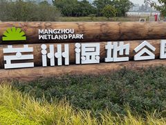 -芒洲湿地公园