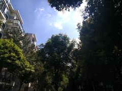 -南山植物园
