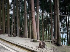 -太阳湾风景区