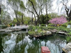 -趵突泉景区