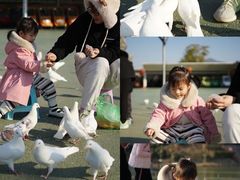 -安徽大青山野生动物世界