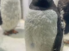 -杭州长乔极地海洋公园