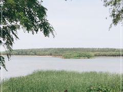 -丁香湖公园