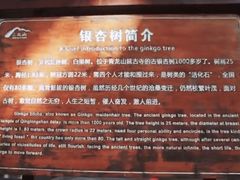 -青龙山景区