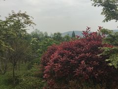 -冶父山国家森林公园