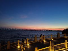 -宝安西湾红树林湿地公园