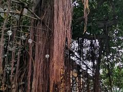 -广州市紫泥堂文化创意园景区