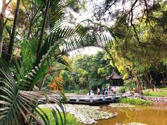 -深圳国际园林花卉博览园