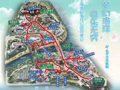 -上海海昌海洋公园
