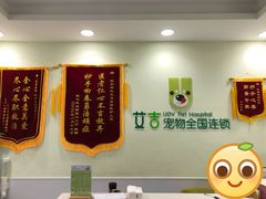 -艾吉宠物医院·疑难杂症转诊中心·猫友好(碧江路院)