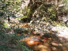 -云岫谷游猎自然风景区