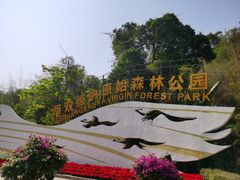 -西双版纳原始森林公园