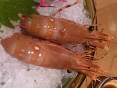 -和创柚子·会席日本料理(新区淮海街店)