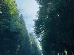 -山王坪喀斯特国家生态公园