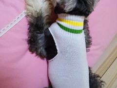 -宠颐生中康贝怡动物医院
