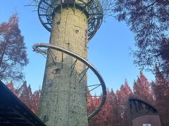 -黄海国家森林公园