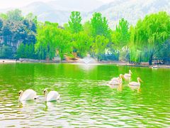 -西安秦岭野生动物园