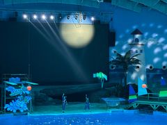 -海合安武汉极地海洋公园