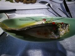 -悦港(悦港酒店)