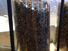 大堂-喜茶(上海正大广场店)