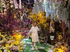 -正佳雨林生态植物园
