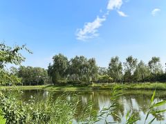 -东郊湿地公园