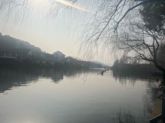-鲁镇