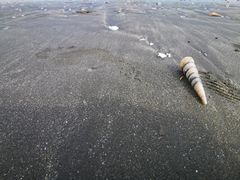 -台山黑沙湾海浴场