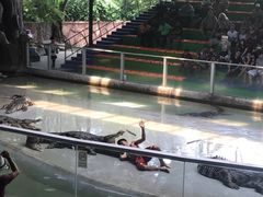 -是拉差龙虎园(Permanently closed)