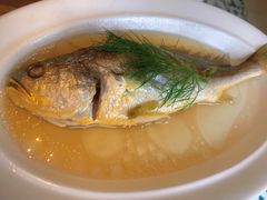 清蒸舟山野生黄鱼鲜-香浙汇(望京店)