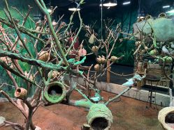 -Zoolung Zoolung动物主题公园(海信广场店)