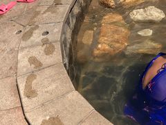 -徂徕山森林康养度假谷温泉