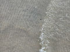 -汕尾风车岛
