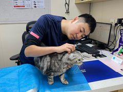 -美联众合爱康动物医院•复杂内科•肿瘤科•牙科•腔镜诊疗中心