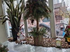 -蝶舍·MAISON PAPILLON