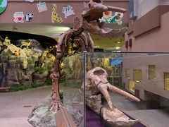 -陕西自然博物馆