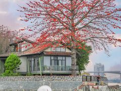 -喜洲吧·江畔老船厂·庭院餐厅(喜临院店)