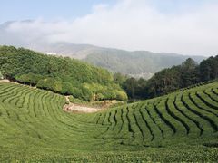 -红星坪温泉精品酒店
