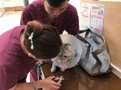 -美联众合动物医院·24h京西诊疗中心