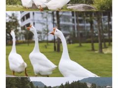 -浙江农林大学(东湖校区)