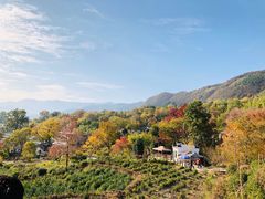 -塔川景区