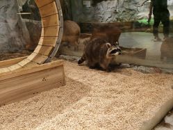 -Zoolung Zoolung动物主题公园(海信广场店)