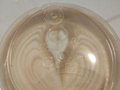 -Manner Coffee(万象前海店)