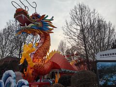 -南宫五洲植物乐园