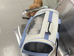 -瑞派宠物医院·24h·骨外科·皮肤科·全科宠物医疗转诊中心(沈阳浑南院)