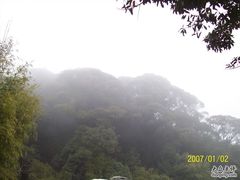 -广州市流溪河国家森林公园