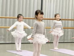 -BBD芭蕾舞蹈学校(紫峰校区)