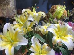 -L.C FLORA花予你(城西银泰城店)